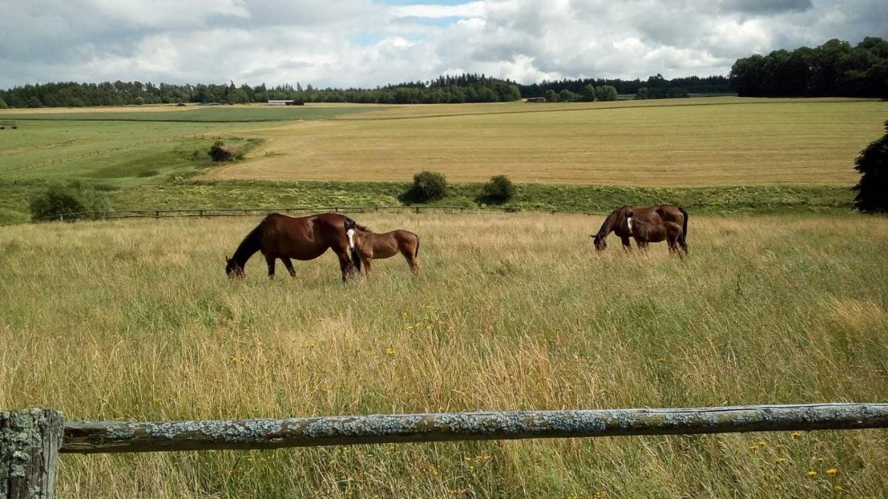 Schoene Aussicht Vöhl Extérieur photo